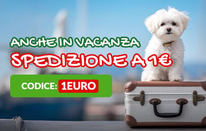 Approfittane ora! 