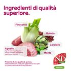 N&D Farmina Quinoa Dog Digestion Medium & Maxi Agnello 2,5 kg