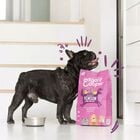Edgard & Cooper Dog Adult Cervo e Anatra 7 kg