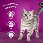 Whiskas Cat Adult 1+ Croccantini Manzo 300 gr