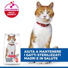 Hill's Science Plan Cat Adult Sterilised Salmone 300 gr
