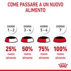 Royal Canin Cat Adult Light Weight in Gelatina 85gr