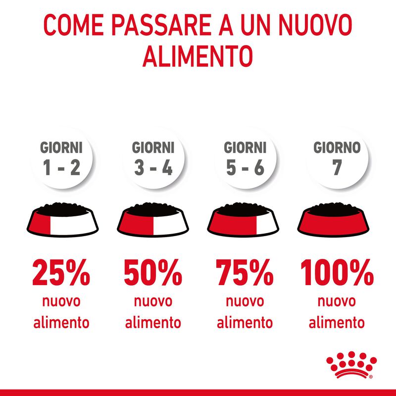 Royal Canin Cat Adult Light Weight in Gelatina 85gr