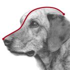 Trixie Museruola per cani in plastica Tg. L
