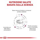Royal Canin Veterinary Diet Cat Renal 2 kg