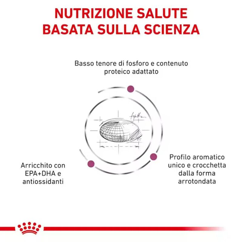 Royal Canin Veterinary Diet Cat Renal 2 kg