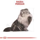 Royal Canin Cat Adult Persian 2 kg