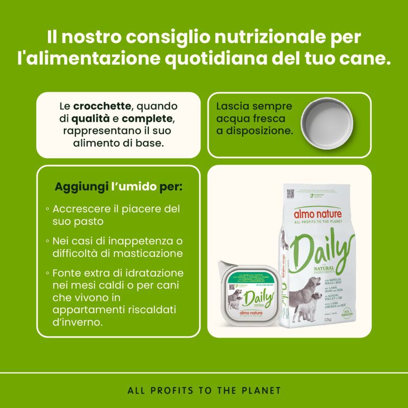 Almo nature Daily Dog Adult All breeds Agnello Pollo e Riso 12 kg