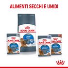 Royal Canin Cat Adult Light Weight Care 8 kg