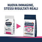 Advance Veterinary Diets Cat Sterilized Urinary Low Calorie 1,25 kg