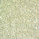 Sera Silicate Clear 60 gr