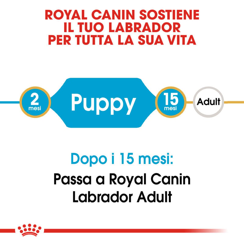 Royal Canin Dog Puppy Labrador Retriver 3 kg