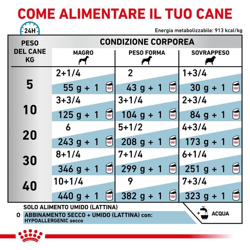 Royal Canin Veterinary Hypoallergenic Dog in Pat&eacute; 200 gr 