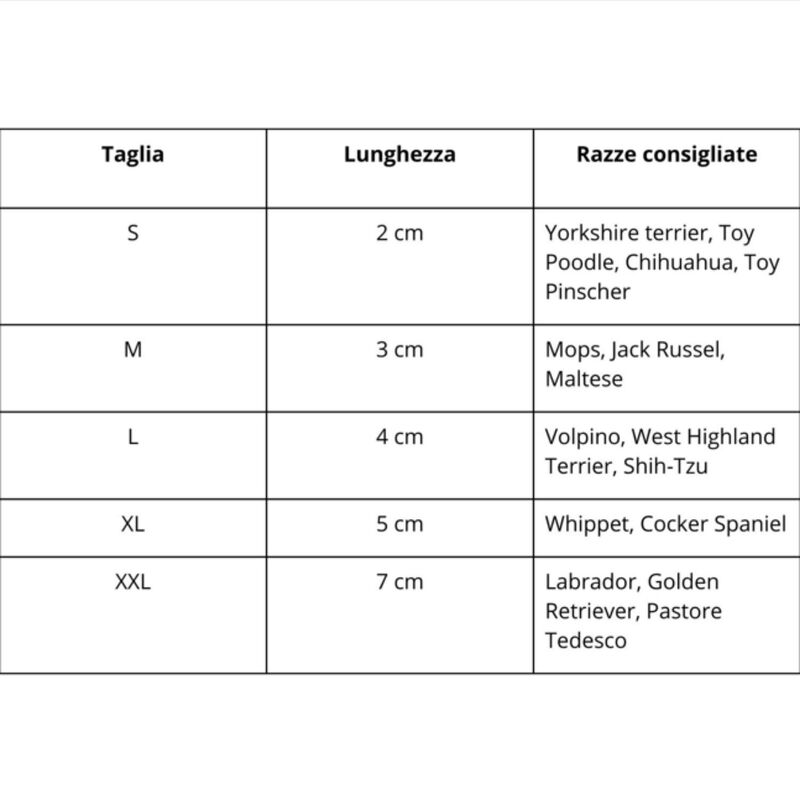 Camon Dog Calze Antiscivolo Tg 2
