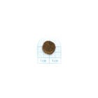 Forza10 Dog Mini Adult Cervo e Patate 2 kg