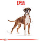 Royal Canin Dog Adult e Senior Boxer 3 kg