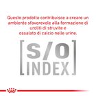 Royal Canin Veterinary Diet Cat Diabetic 12x85 gr