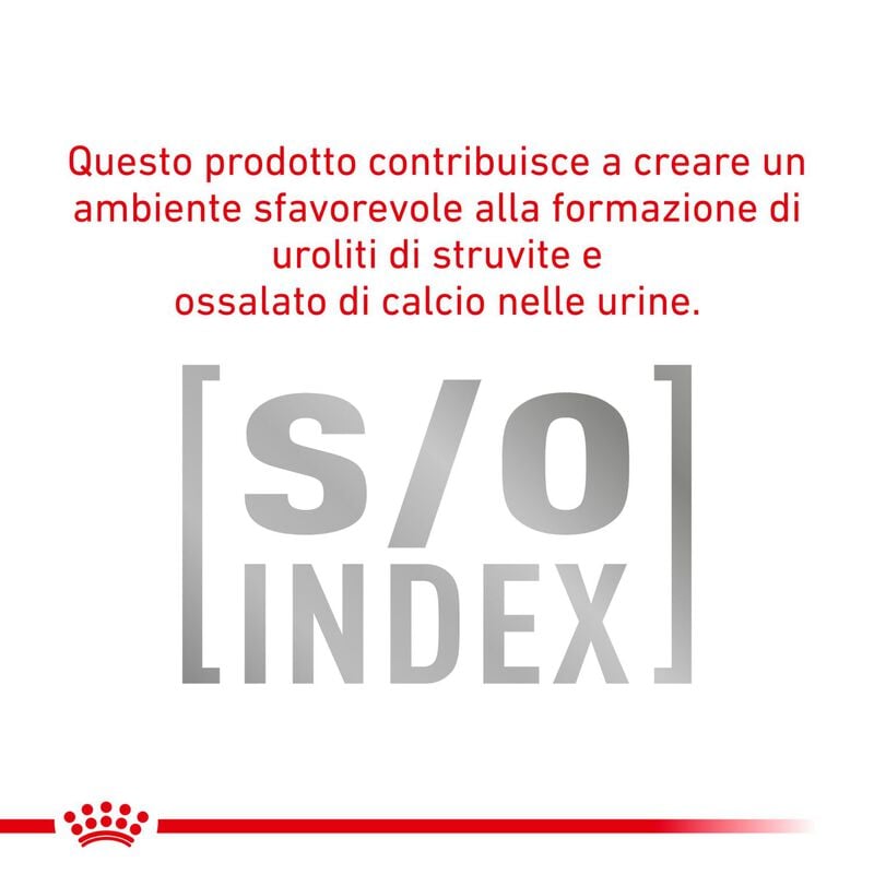 Royal Canin Veterinary Diet Cat Diabetic 12x85 gr