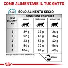 Royal Canin Veterinary Diet Cat Anallergenic 2 kg
