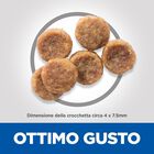 Hill's Science Plan Dog Small & Mini Adult con Pollo 1,5 kg