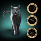Sheba Cat Selezione in salsa Pollo e Tacchino 85gr