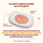 Almo Nature HFC Natural Cat Tonno dell'Atlantico 280 gr