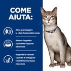 Hill's Prescription Diet Cat k/d Kidney Care con Pollo 1,5 kg