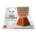 Gourmet Cat Adult Revelations Salmone in gelatina 4x57gr