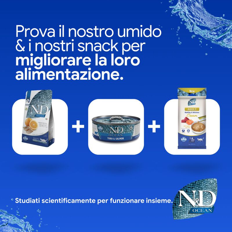 N&D Farmina Ocean Cat Adult Aringa & Arancia 10 kg