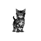 Royal Canin Veterinary Diet Kitten Gastrointestinal 195 gr