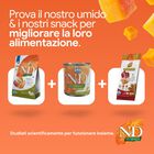 N&D Farmina Pumpkin Dog Adult Mini Anatra & Cantalupo 2 kg