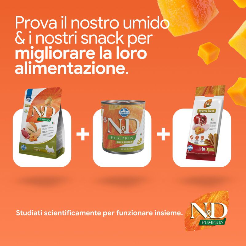 N&D Farmina Pumpkin Dog Adult Mini Anatra & Cantalupo 2 kg