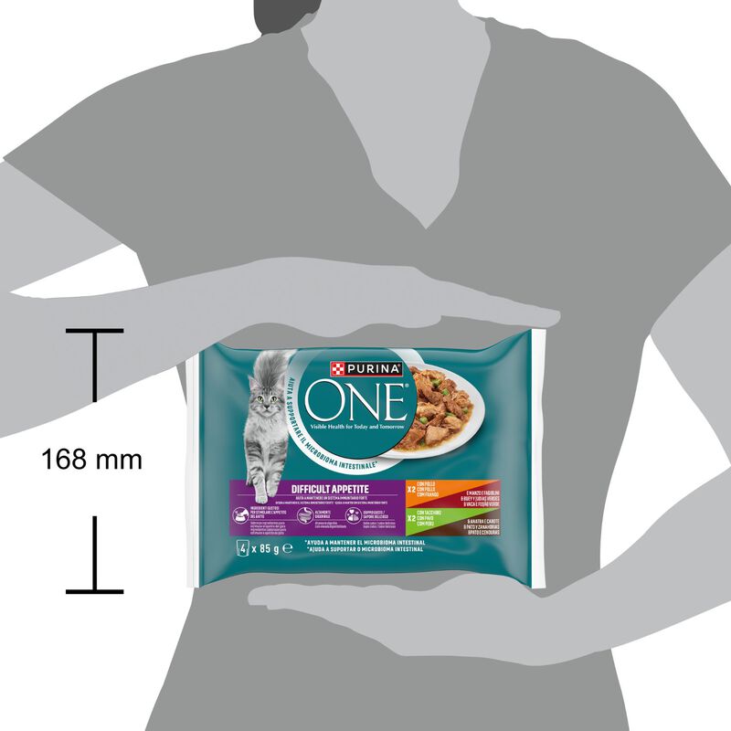 Purina One Cat Appetito Difficile Filettini in Salsa 4 pz x 85 gr