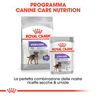 Royal Canin Dog Mini Adult Sterilised 1 kg