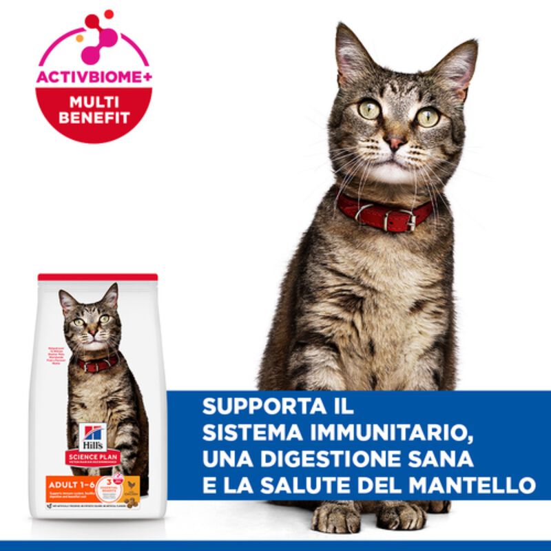 Hill's Science Plan Cat Adult al Pollo 7 kg