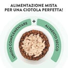 Schesir Cat Pollo con Prosciutto in&igrave; brodo70 gr