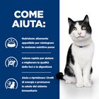 Hill's Prescription Diet Cat i/d Digestive Care con Pollo 400 gr
