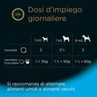 Cesar Dog Senior VS Vitello e Riso 150 gr