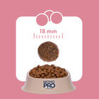 Monopro Dog Adult Medium&Large Grain Free Maiale 12kg