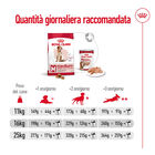 Royal Canin Dog Adult +7 anni Medium 15 kg