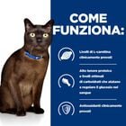 Hill's Prescription Diet Cat m/d Diabetes 1,5 kg