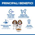 Hill's Science Plan Dog Puppy Medium con Agnello e Riso 2,5 kg