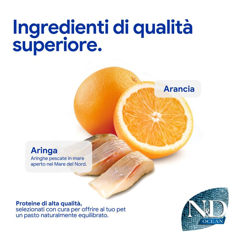 N&D Farmina Ocean Cat Adult Aringa & Arancia 5 kg