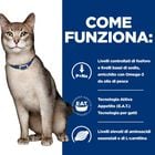 Hill's Prescription Diet Cat k/d Kidney Care con Pollo 1,5 kg