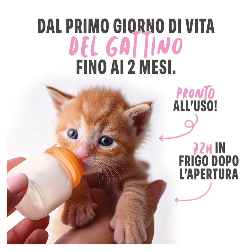 Schesir Kitten Latte pronto 150gr