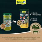Tetra Pond Flakes 1 lt