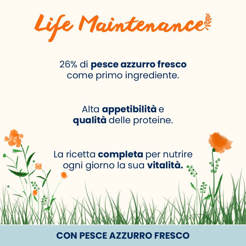 Almo Nature Life Maintenance Cat Adult Pollo 400 gr