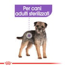 Royal Canin Dog Adult Mini Sterilised Care 3 kg