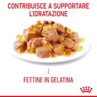 Royal Canin Cat Adult Light Weight Care Jelly 85 gr