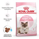 Royal Canin Cat Adult e Kitten Mother and Babycat 400 gr